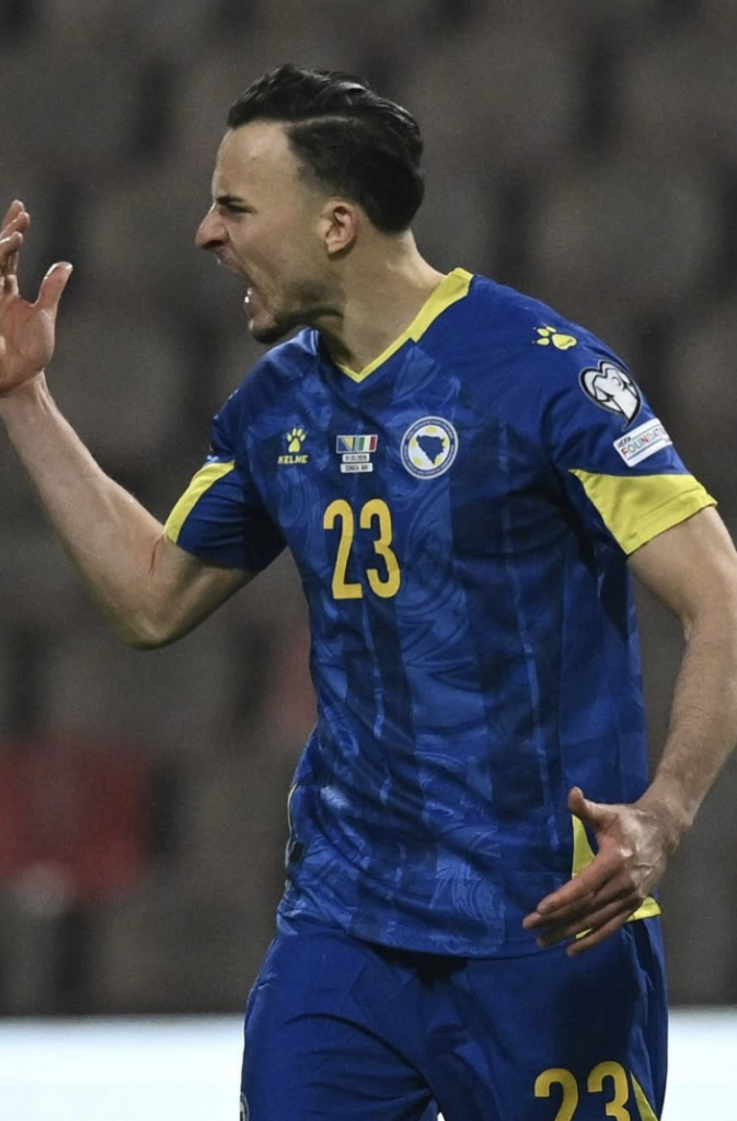 Bosnia & Herzegovina World cup