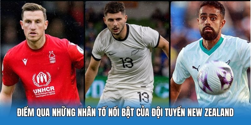 New Zealand Tại World Cup 2026: “All Whites” Vượt Đại Dương